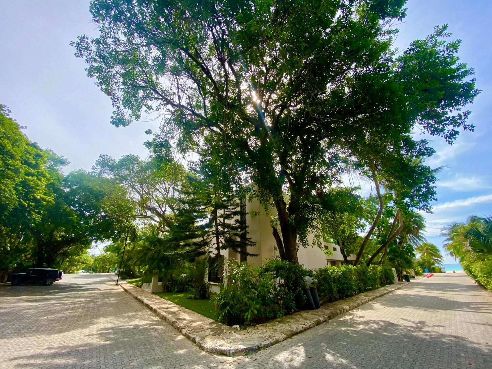 Villa Almendra Playacar 1 Playa del Carmen Exterior foto
